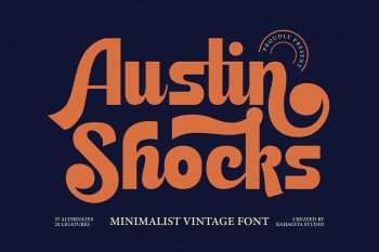 Austin Shocks
